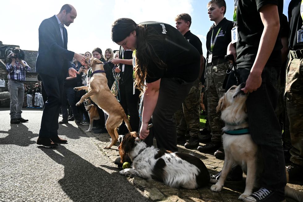 Prince William in Cornwall