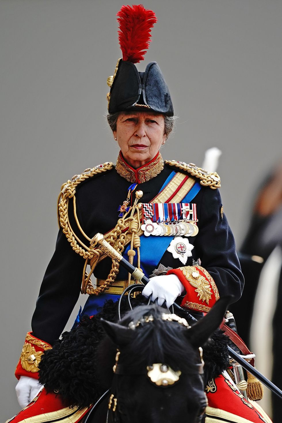 Princess Anne - Figure 1