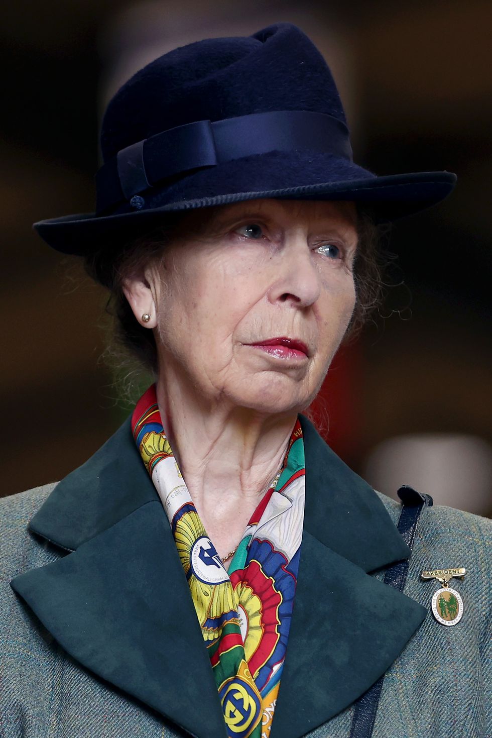 Princess Anne health update as Royal discusses incident that left her in hospital for five days