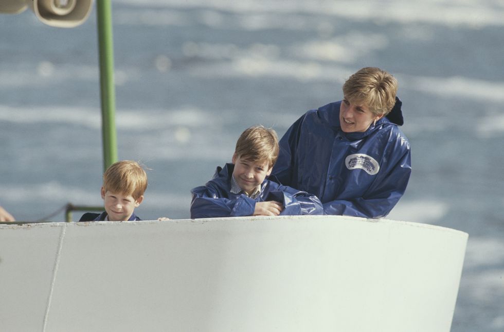 Princess Diana, Prince William and Prince Harry