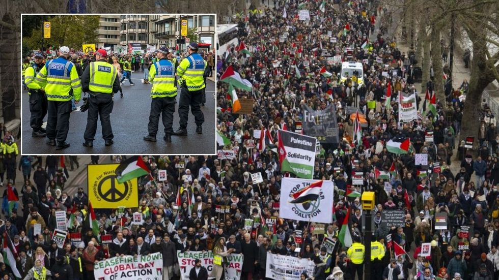 Pro-Palestine protesters