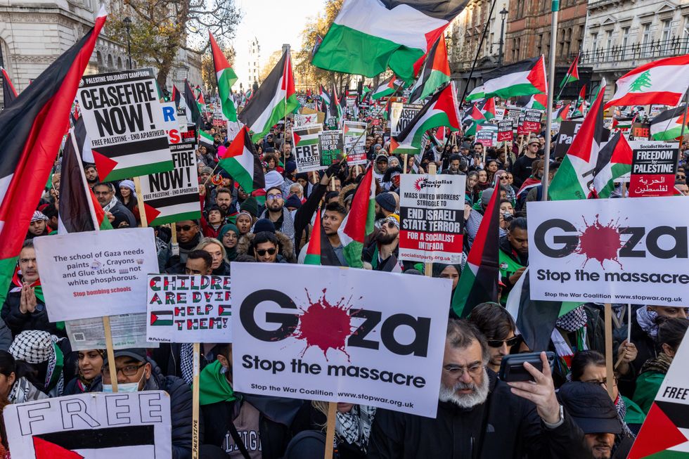 Palestine marches could go on for MONTHS: 'We’ll keep marching until a ...