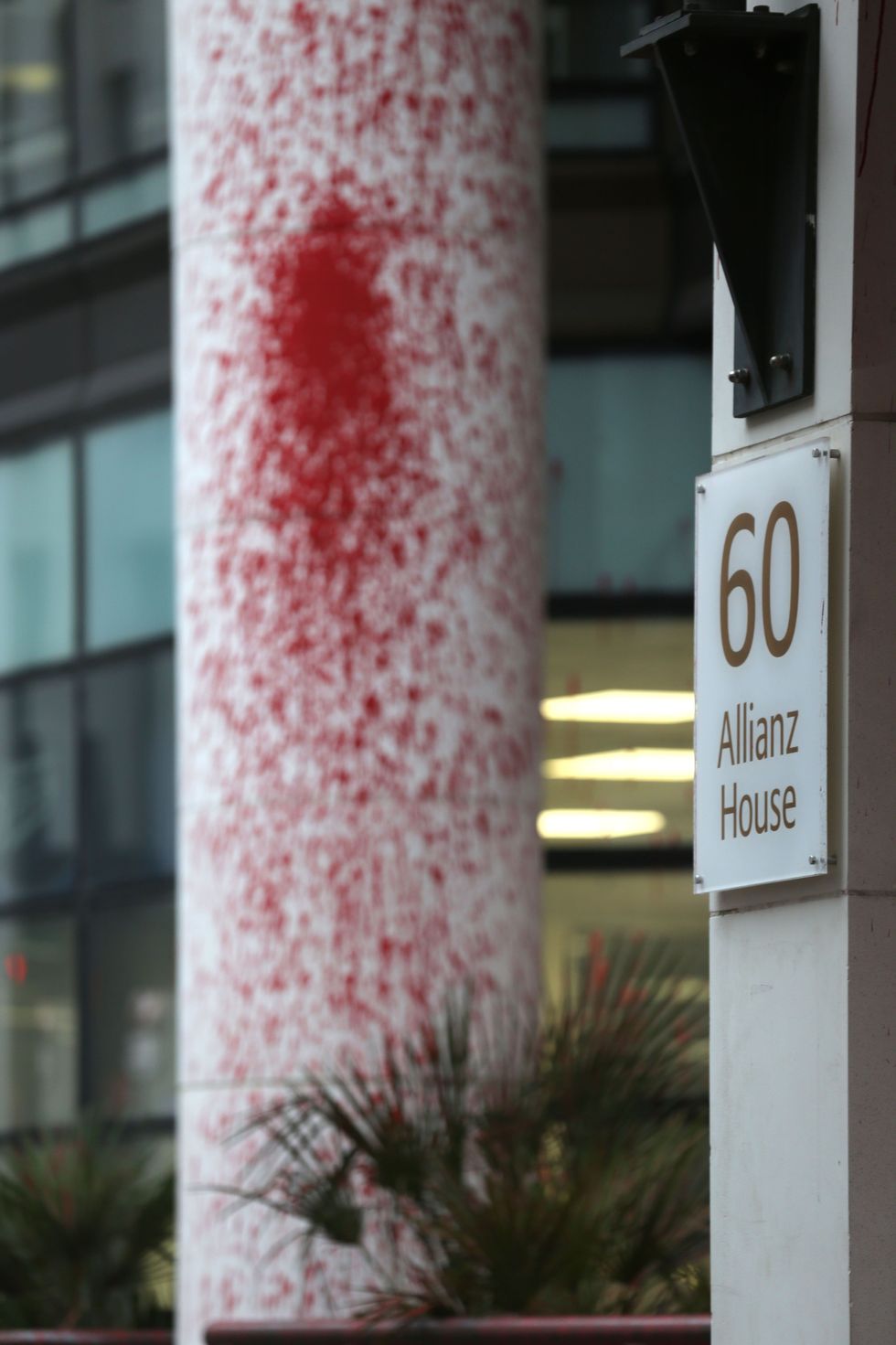 Pro-Palestinian protesters have occupied the Allianz building in London