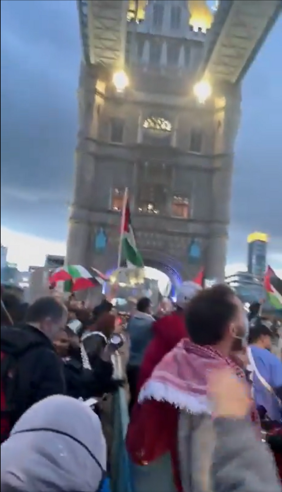 Protesters on Tower Bridge