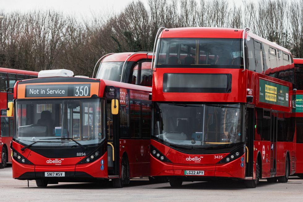 Red buses