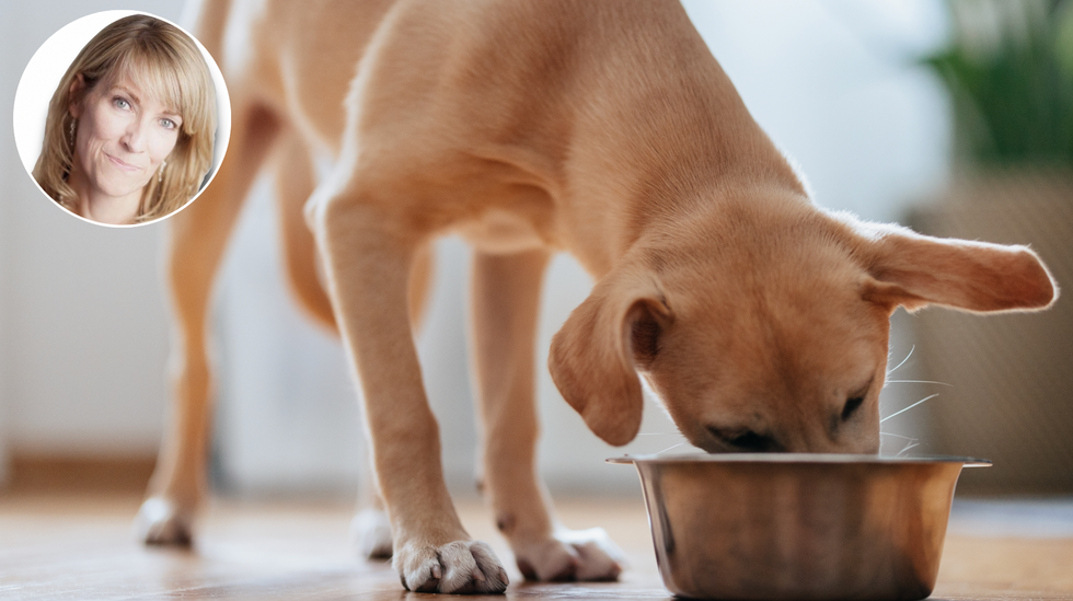 Renee Hoenderkamp (left), dog eating food (right)