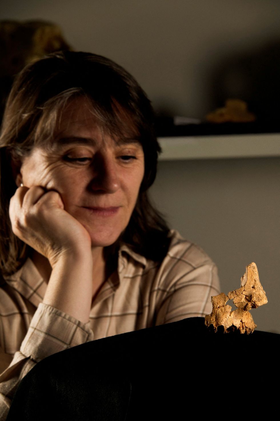 Researcher Rosa Huguet ooks at the fossil of the left midface of a hominin assigned to Homo affinis erectus\u200b