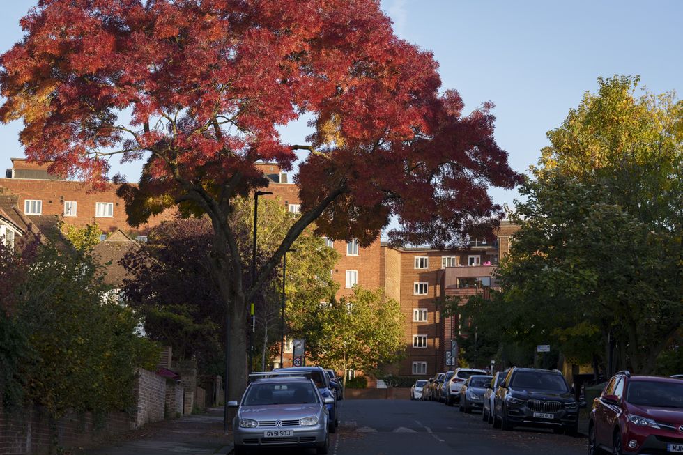 Residential street (Stock)