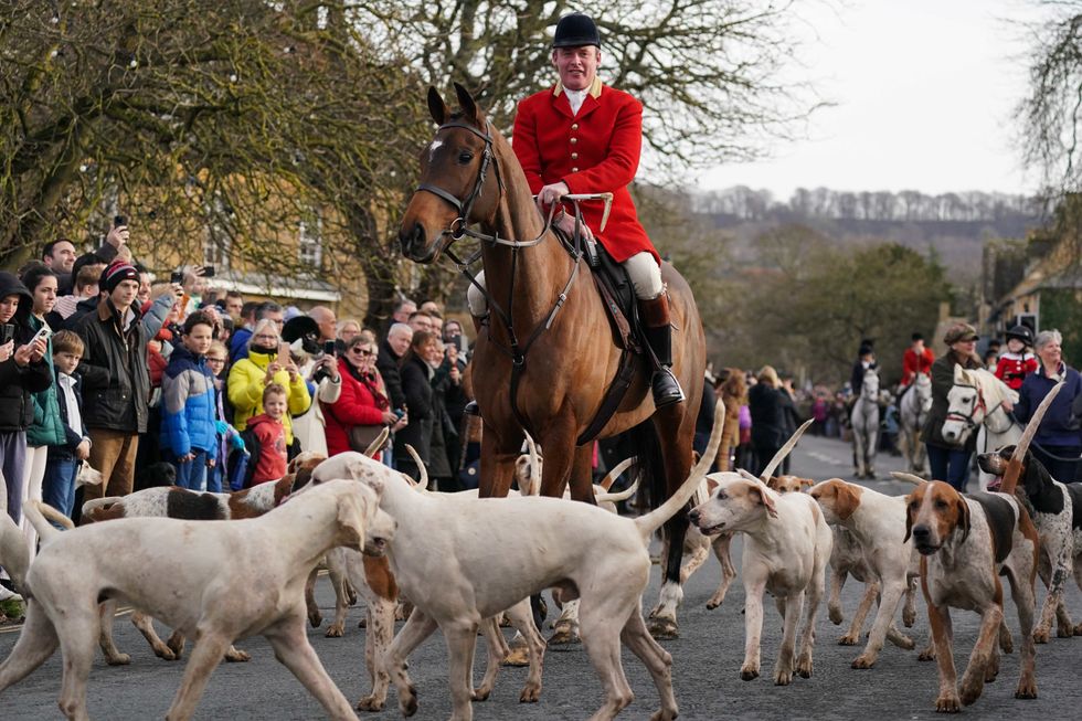 Boxing Day hunt given green light after activists attempted to replace ...