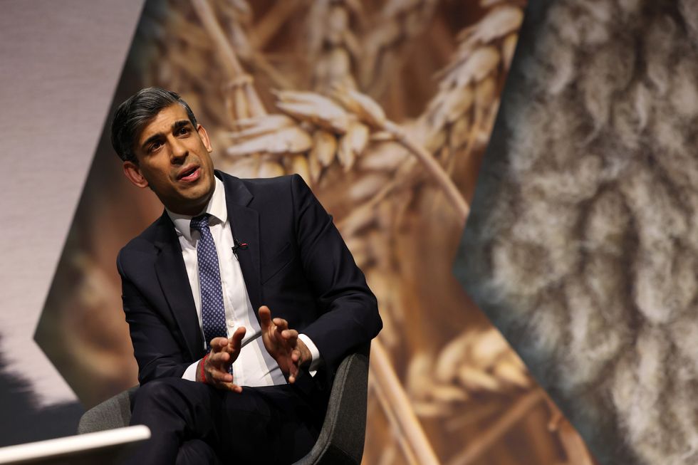 Rishi Sunak pledged millions to the farming sector