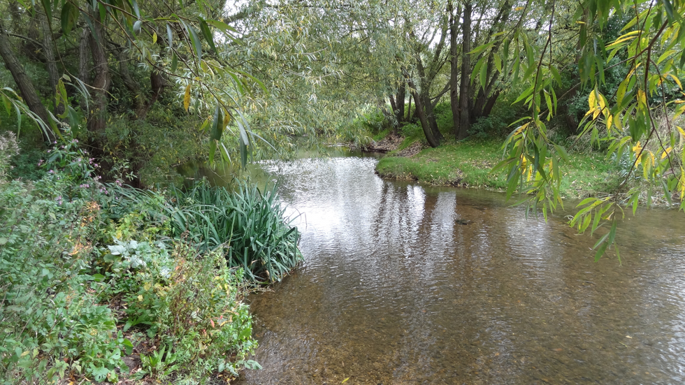 River Roding