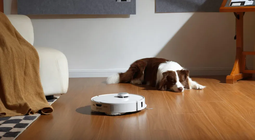 roborock robot vacuum cleaning near a pet dog