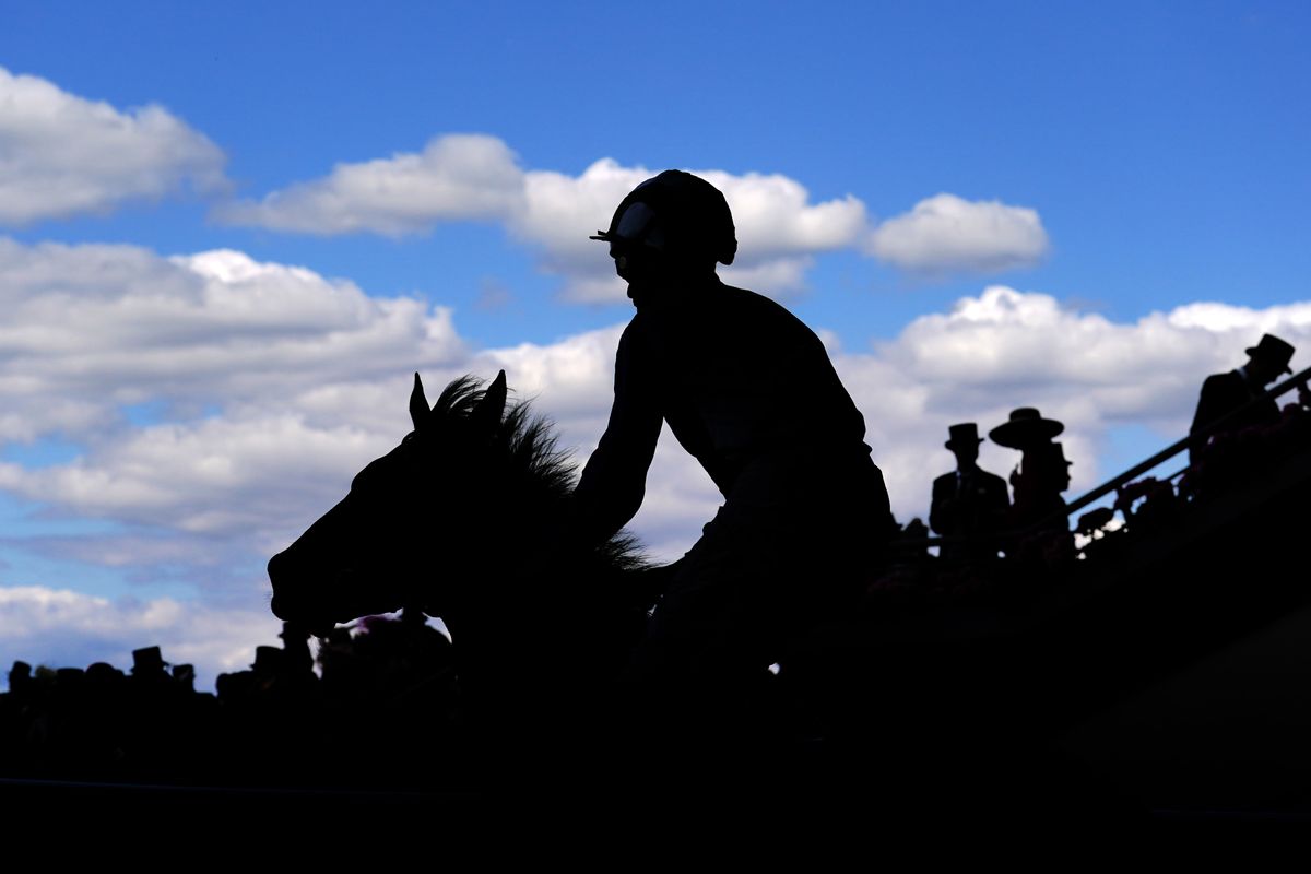 Royal ascot rider and horse
