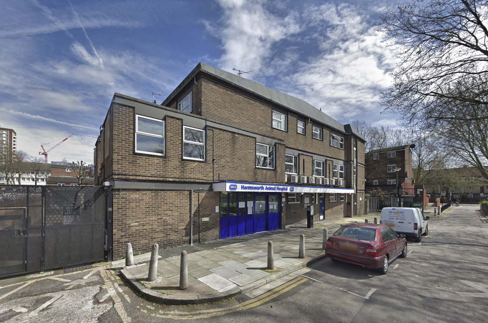 RSPCA animal hospital Finsbury Park