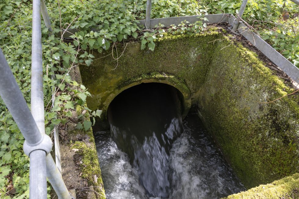 Water bosses took home thousands in bonuses despite ongoing sewage ...