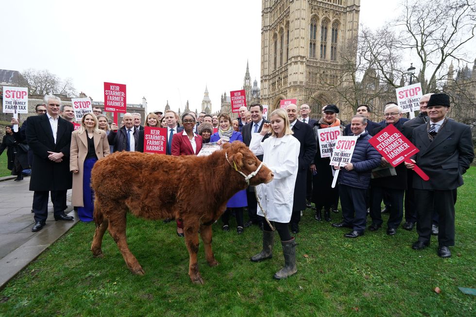 Shadow Cabinet and cow