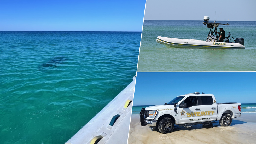 Shark in sea/Walton County police