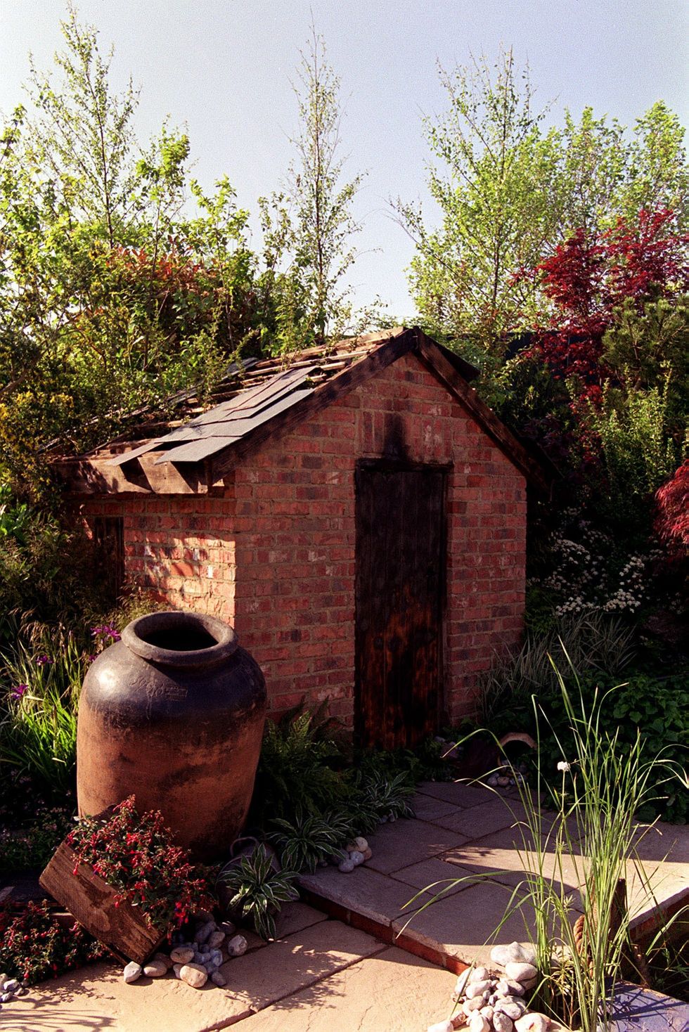 Shed in garden