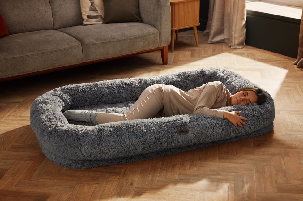 Silentnight Snuggle Pod Human Pet Bed