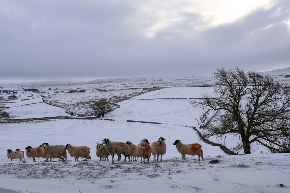 uk-cold-weather-britain-set-for-5cm-of-snow-as-met-office-warn-10c