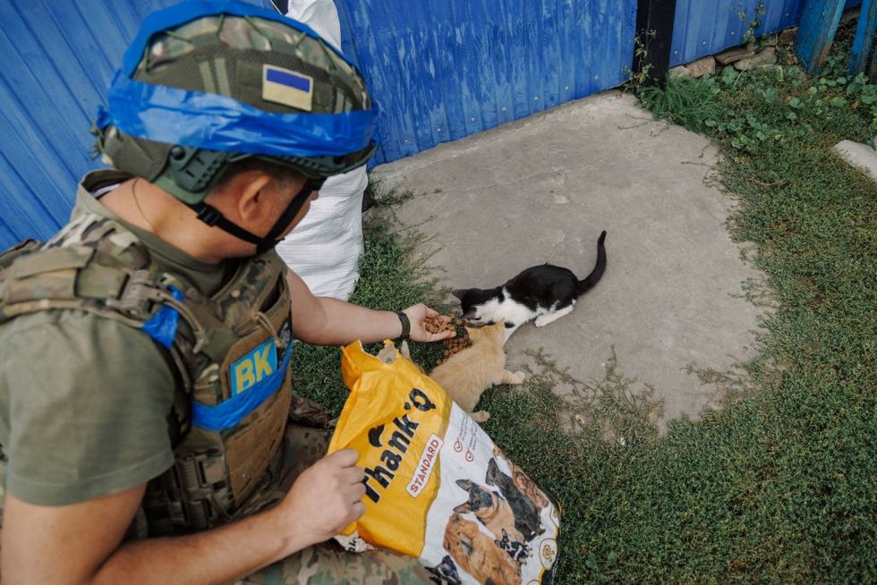 Soldier in Ukraine with cat