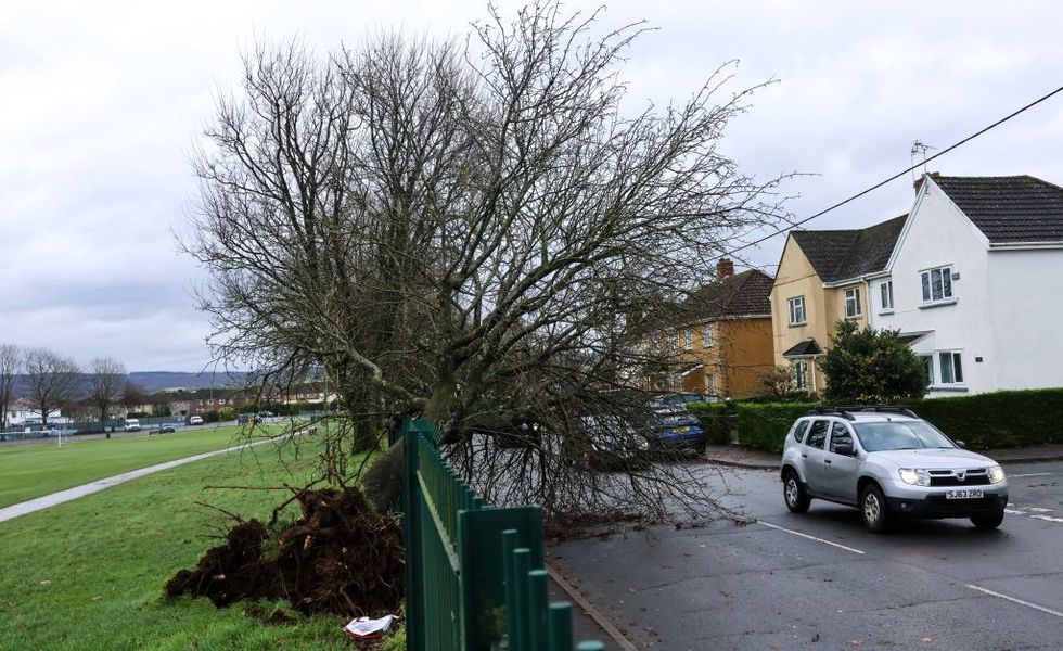 Some of the damage from Storm Darragh