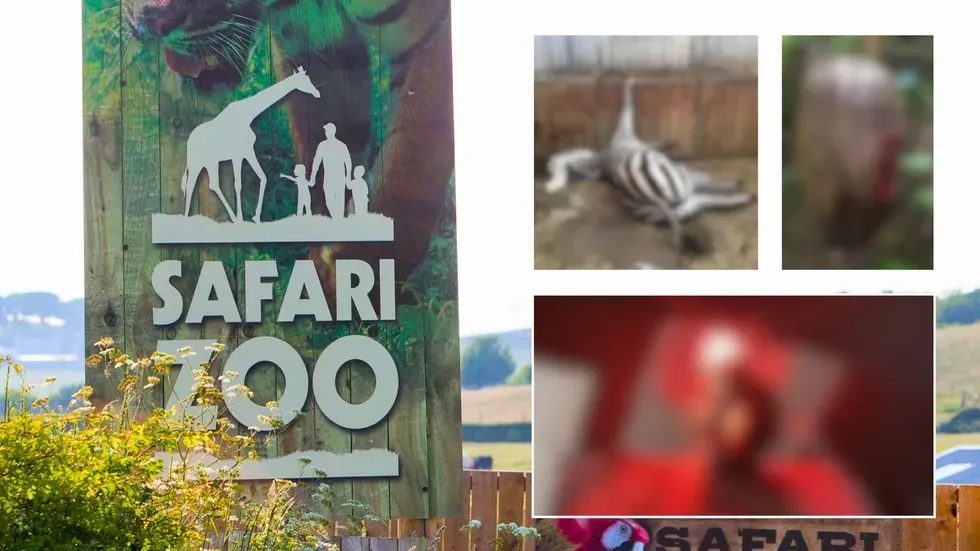 South Lakes Safari Zoo/blurred images of animal suffering