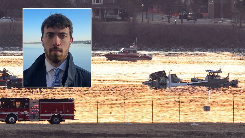 Steven Edginton, Washington DC plane crash