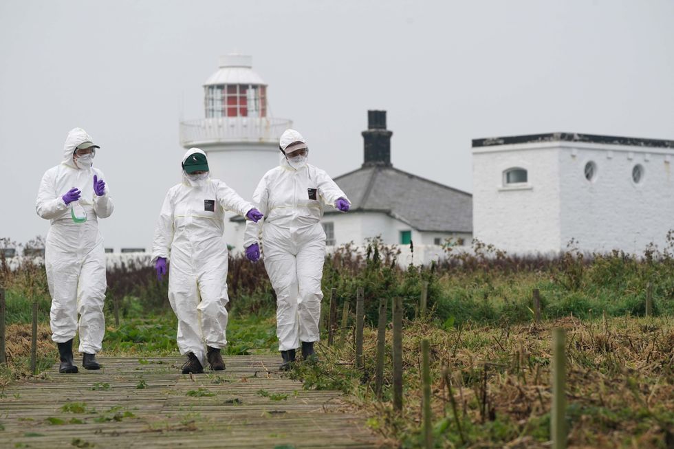 Stock image of rangers in Northumberland