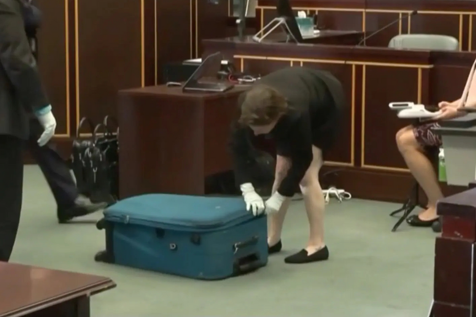 Suitcase in court