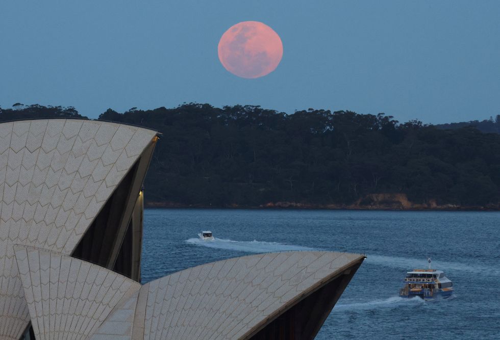 Supermoon in Sydney