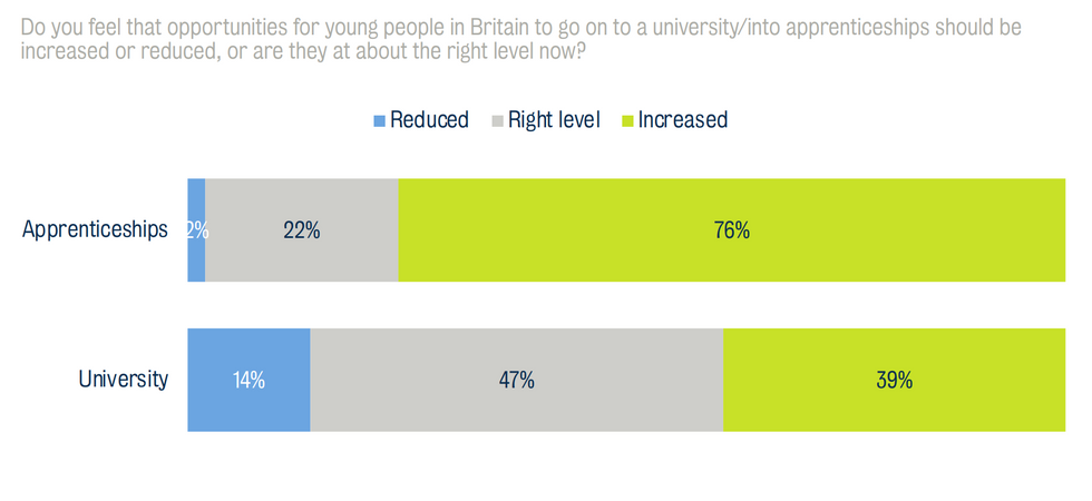 Survey results asking if opportunities for young people need to go to university or into apprenticeships