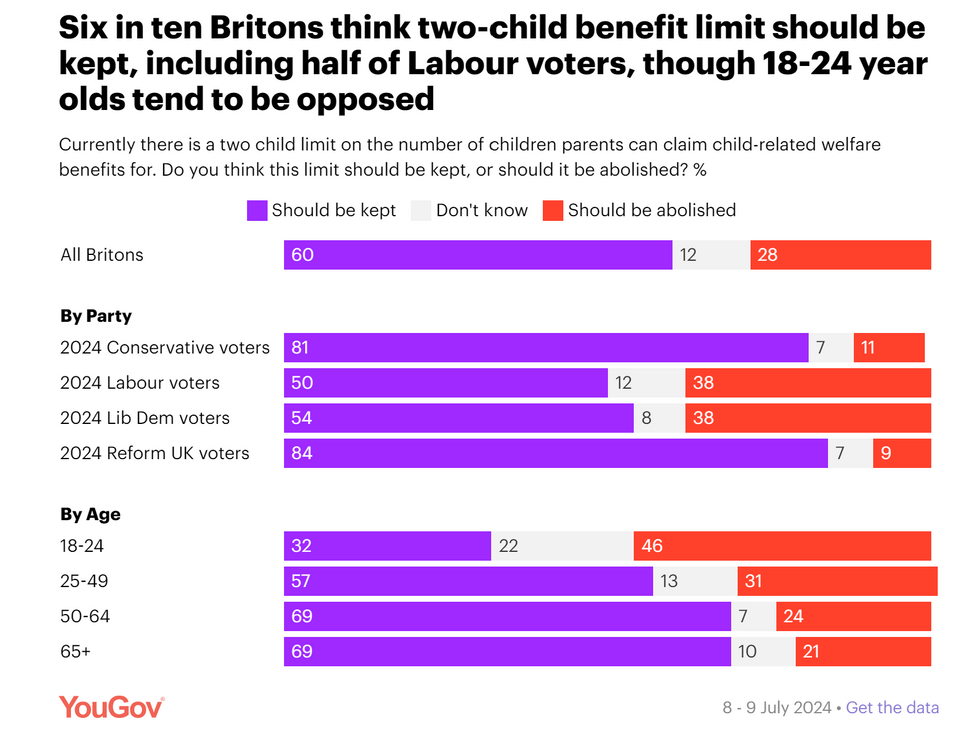 Survey results of public support of the two-child benefit limit