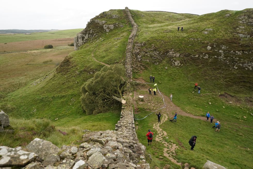 Sycamore Gap police update: Huge chainsaw discovered in nearby barn as ...