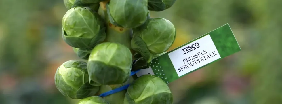 Tesco Brussels sprouts