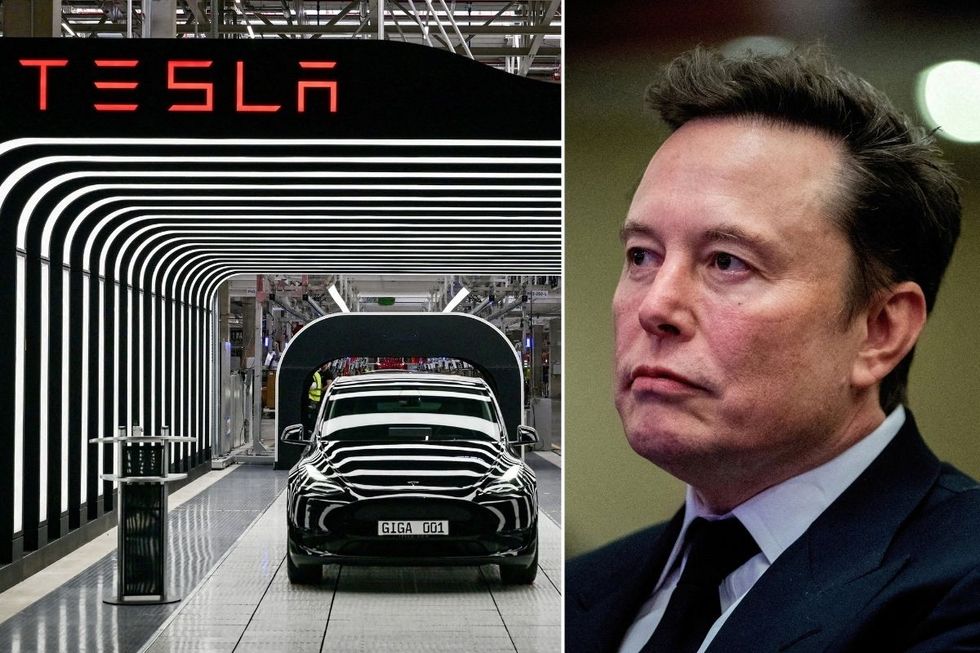 Tesla Giga Berlin and Elon Musk