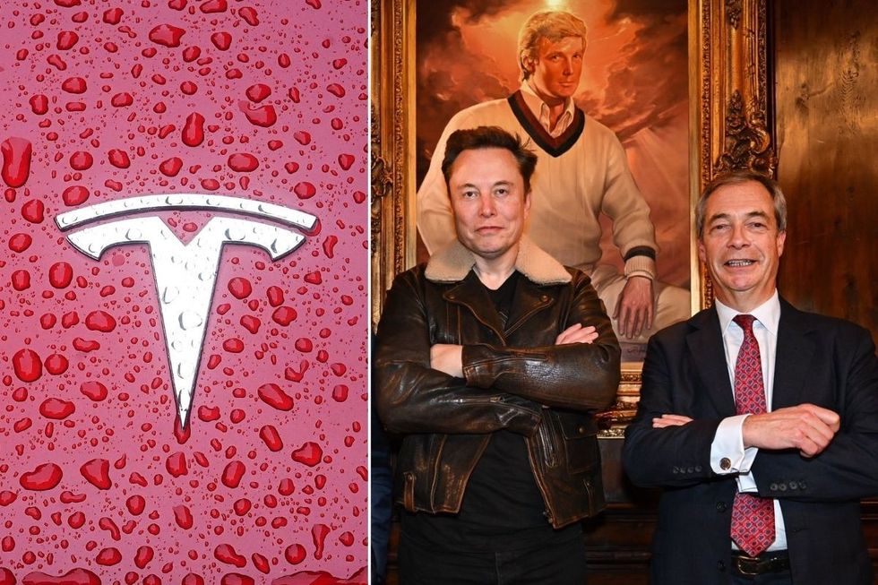 Tesla logo and Elon Musk standing next to Nigel Farage