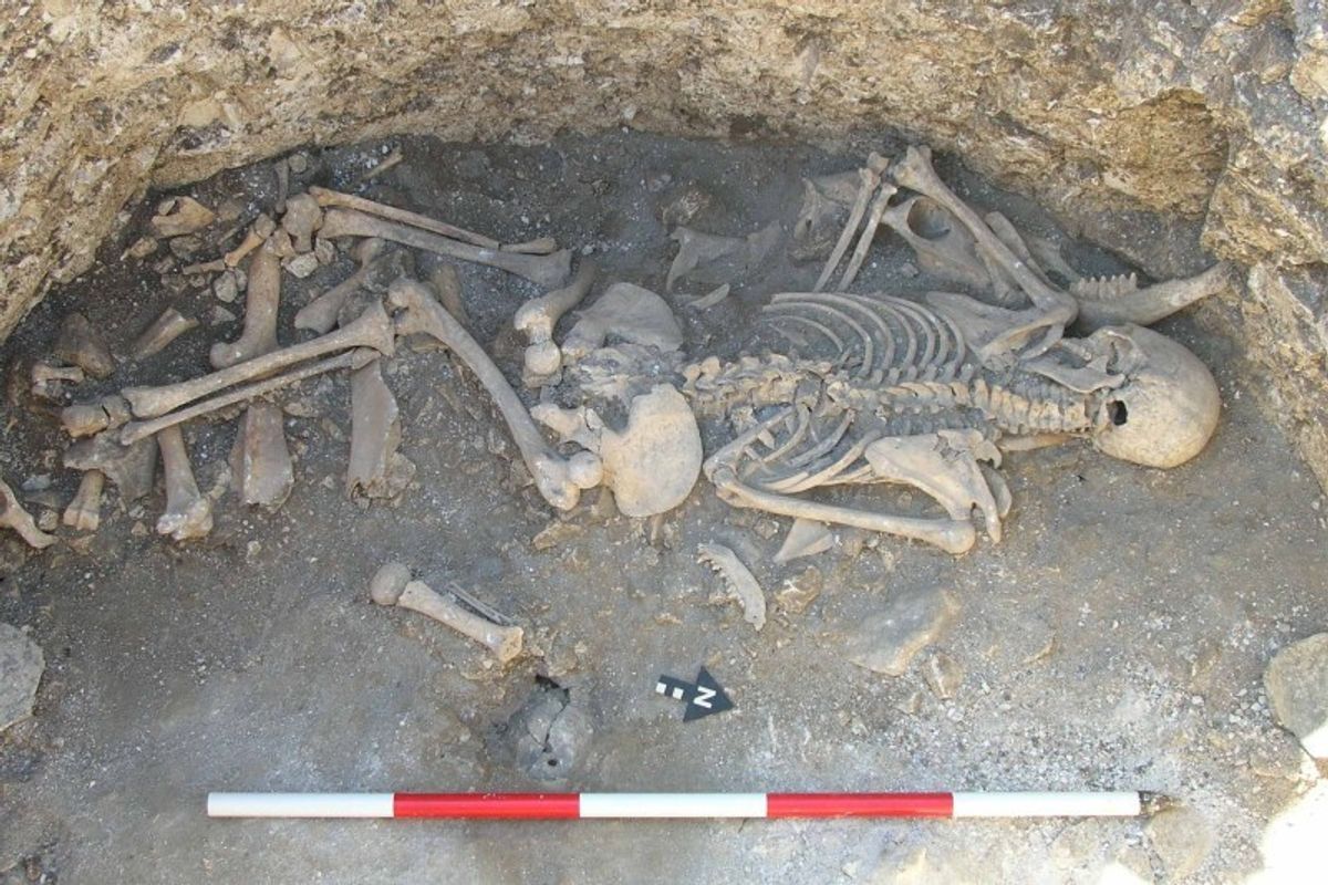 ​The bones were found in the dig in Dorset