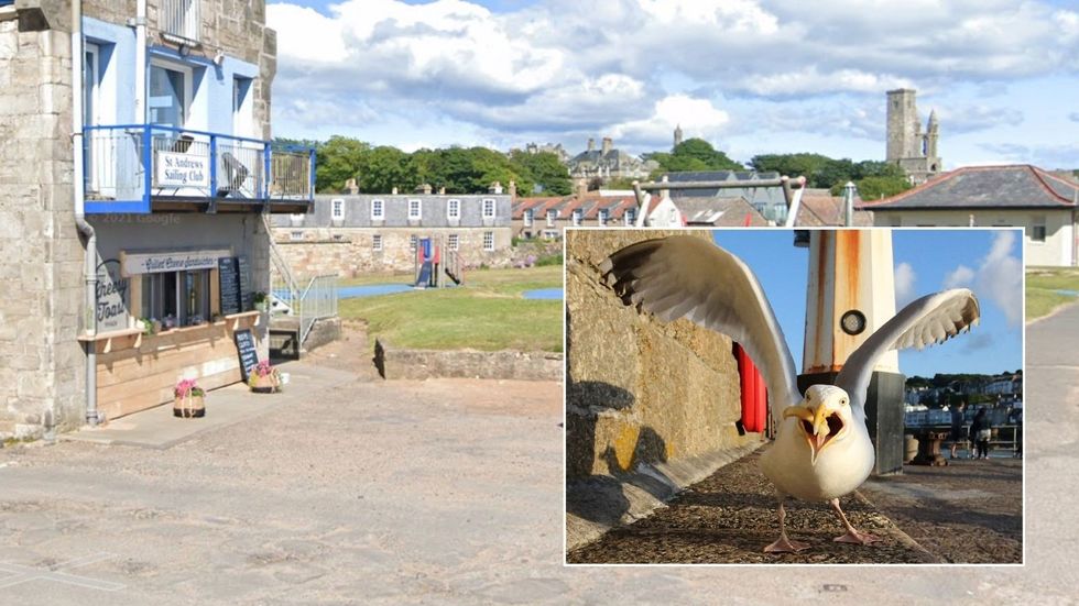 The Cheesy Toast Shack in St. Andrews 