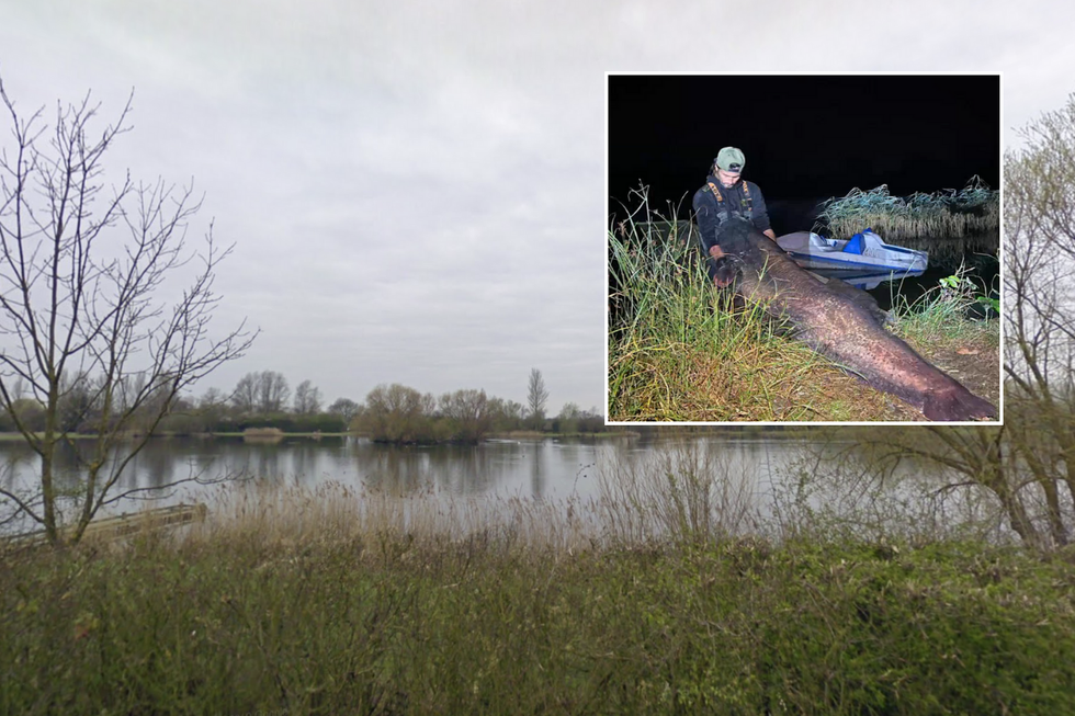 The couple caught the monster at Chigborough Fisheries, in Essex