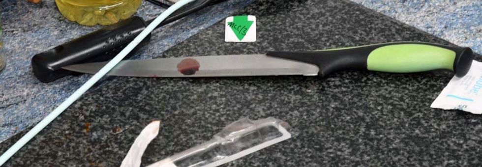 The knife allegedly used to fatally attack 14-year-old Scarlett Vickers last July