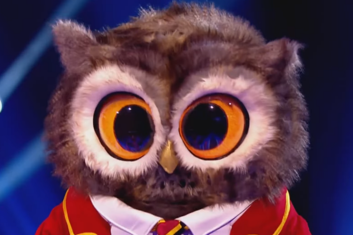 The Masked Singer fans 'work out' Owl's identity as BBC Strictly 2023