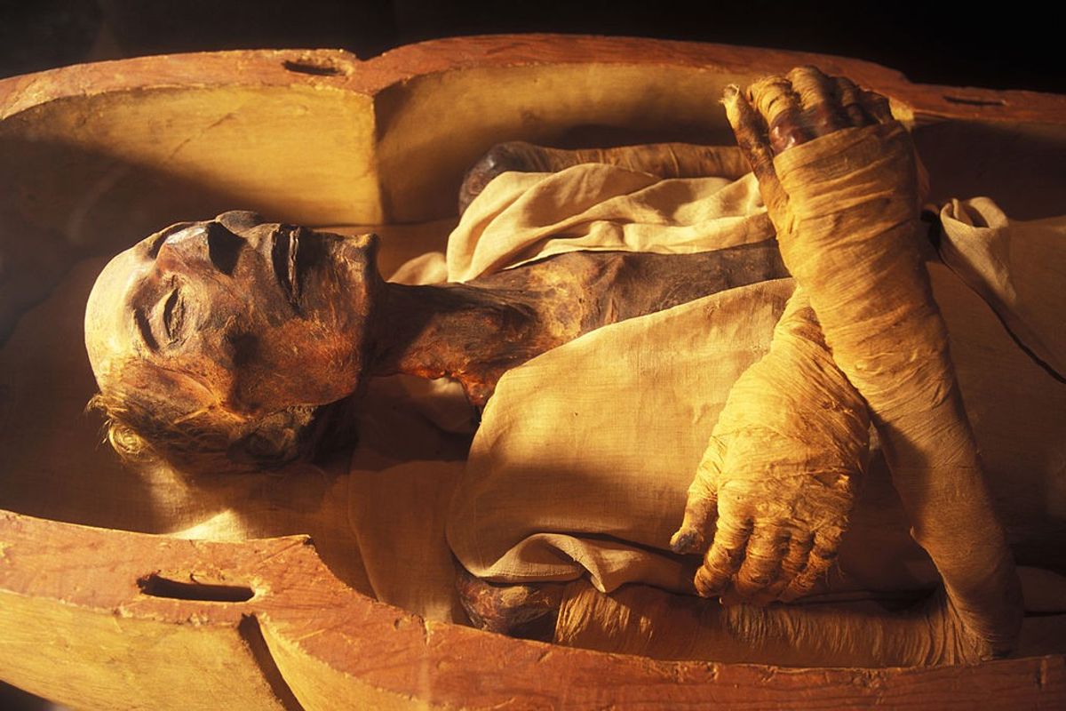  The mummy of Ramses II