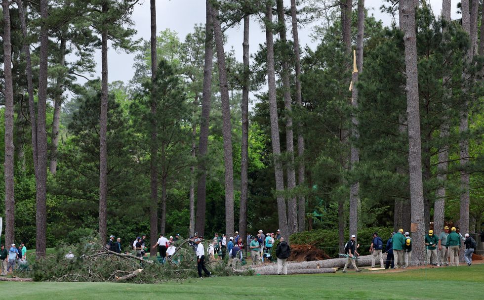 WATCH Terrifying moment falling trees nearly crush golf fans at The