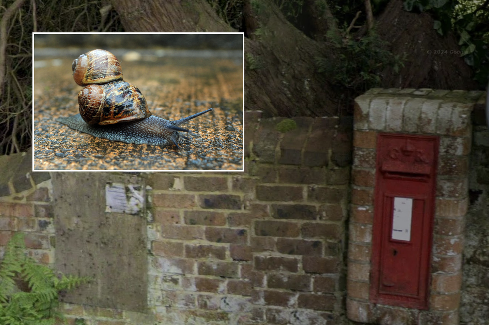 The postbox is set to be removed due to a snail invasion