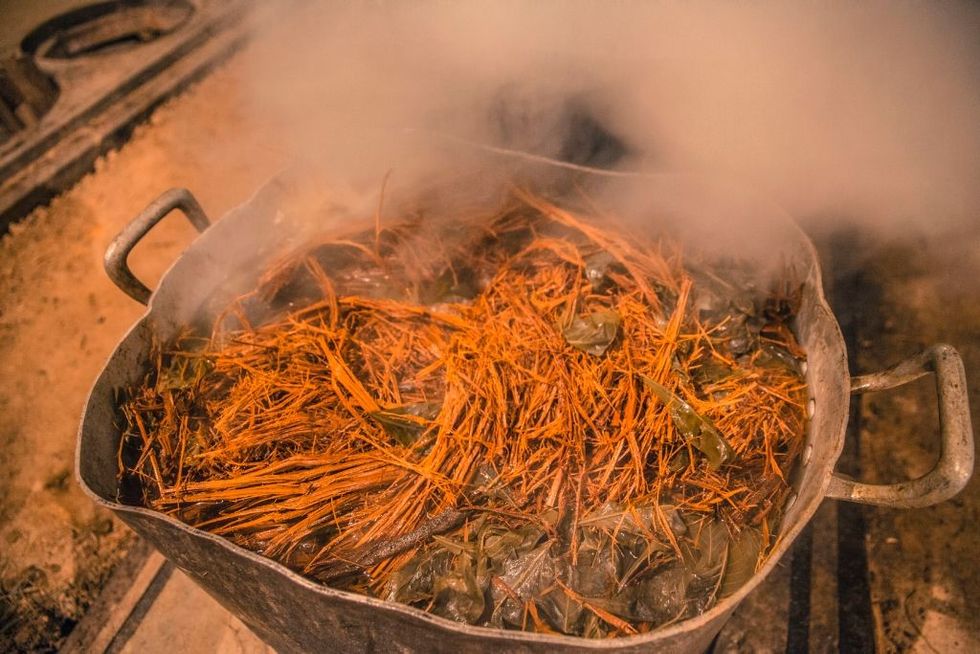 The preparation of Ayahuasca tea (file pic)