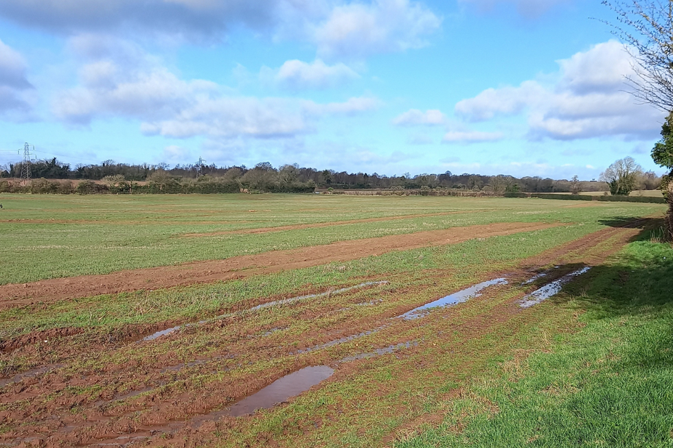 The Worcestershire land where the solar farm would be