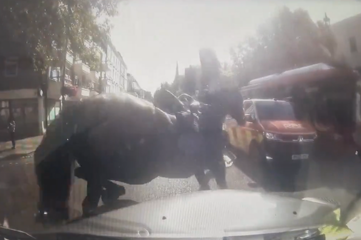 Three military horses wreck havoc as they bolt loose through London AGAIN