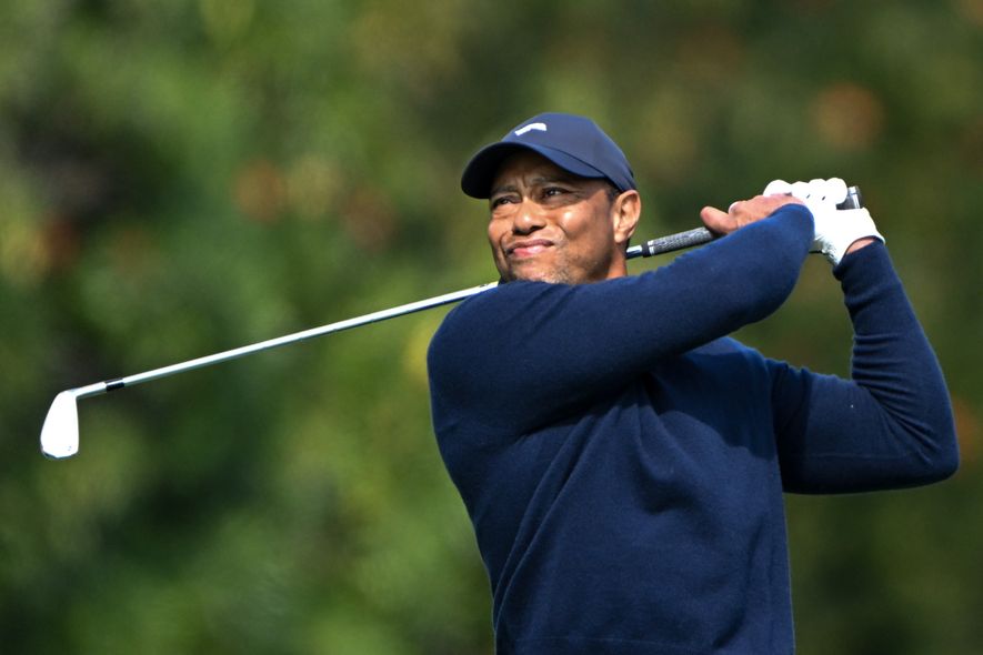 Tiger Woods is one of six members of the PGA Tour player directors