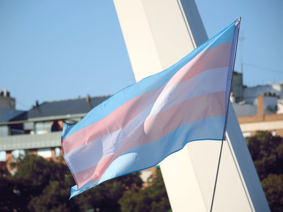 Trans flag